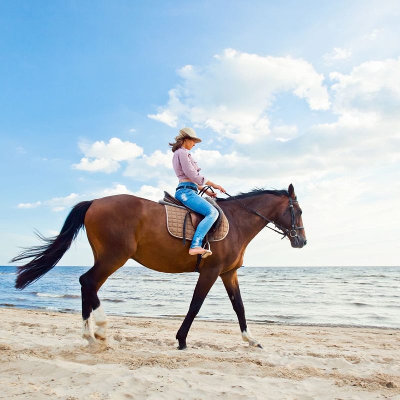 agora apartments villasimius sardegna attivita cavallo spiaggia