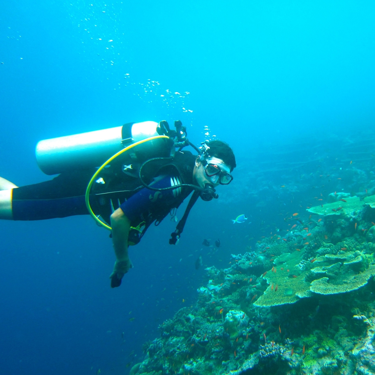 residence case fiorite riola sardo sardegna esperienze immersioni