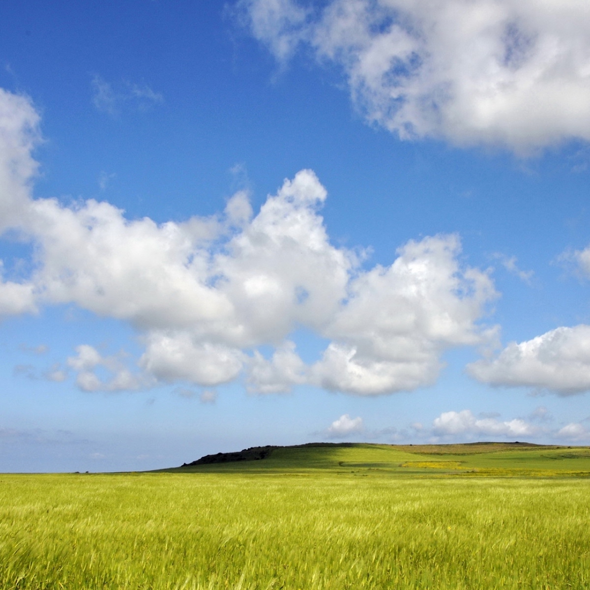 residence case fiorite riola sardo sardegna territorio box sinis