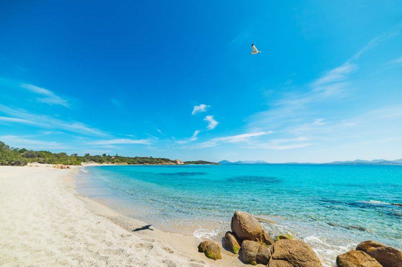 Spiagge Hotel Centrale