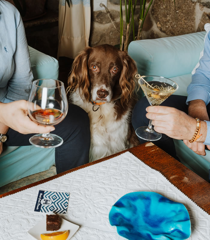 Pet Friendly Hotel Costa Dorada