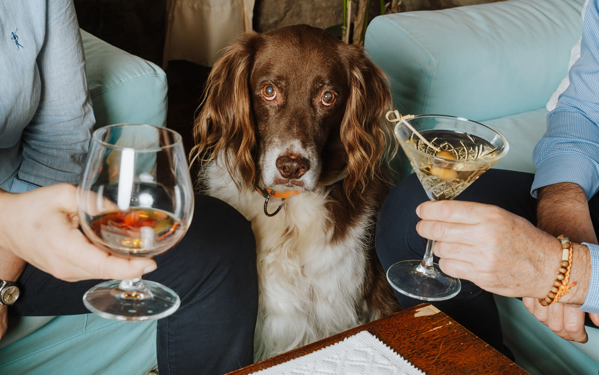 Offerte Hotel Costa Dorada