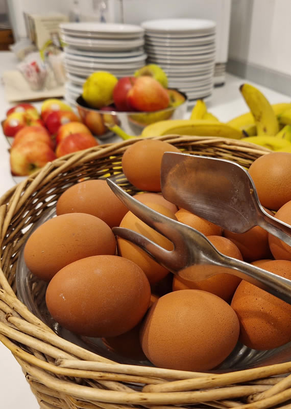 hotel danubio jesolo venetole colazioni