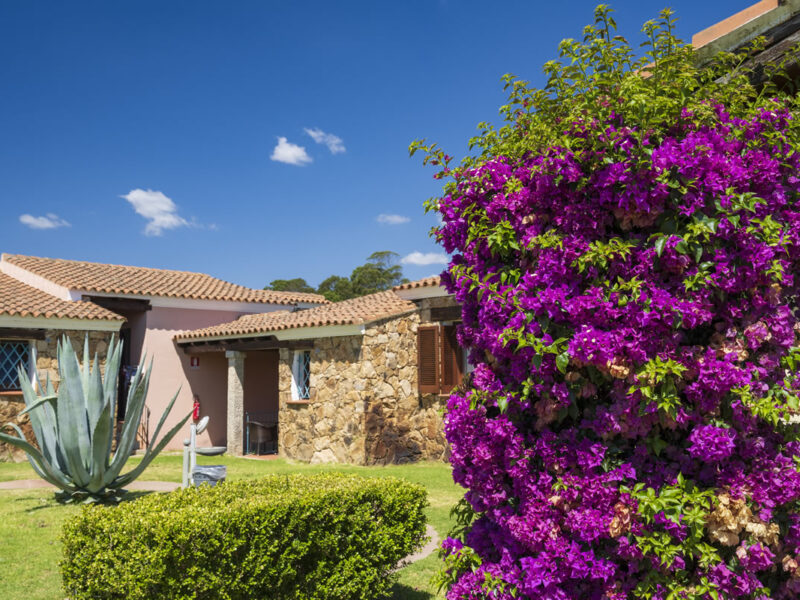 Hotel Li Suari Club Village